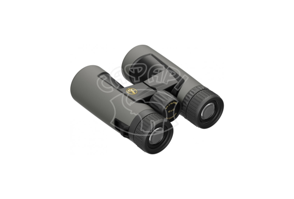 Бінокль Leupold BX-2 Alpine 10x42 Roof Shadow Gray
