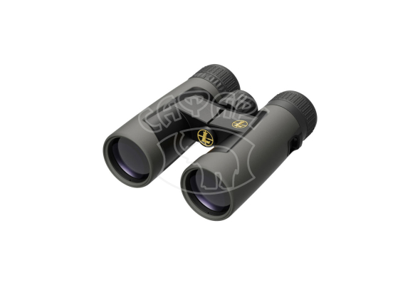Бінокль Leupold BX-2 Alpine 10x42 Roof Shadow Gray