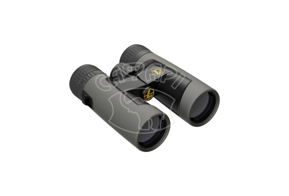Бінокль Leupold BX-2 Alpine 10x42 Roof Shadow Gray
