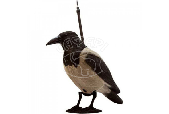 Подсадная ворона Birdland