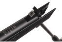 Гвинтівка пневматична Ekol ULTIMATE Black 4,5 mm Nitro Piston