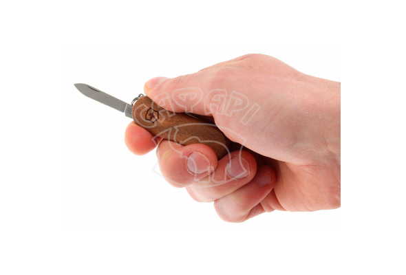 Мультитул-брелок Victorinox Delemont EvoWood 81