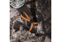 Костюм для охоты Camo-Tec StormwalL DWR Terra UA
